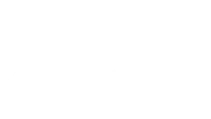 Logo de Anefort